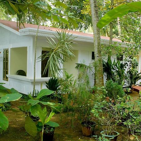Hotel Jickys Nest Varkala Pokoj fotografie
