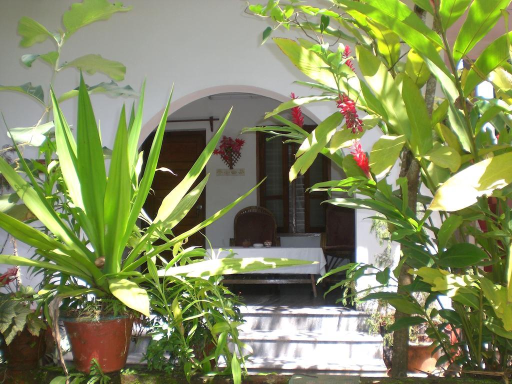 Hotel Jickys Nest Varkala Pokoj fotografie